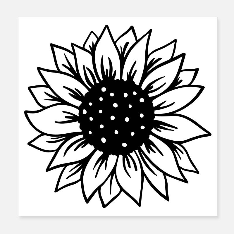 Sonnenblume Poster 20x20 cm