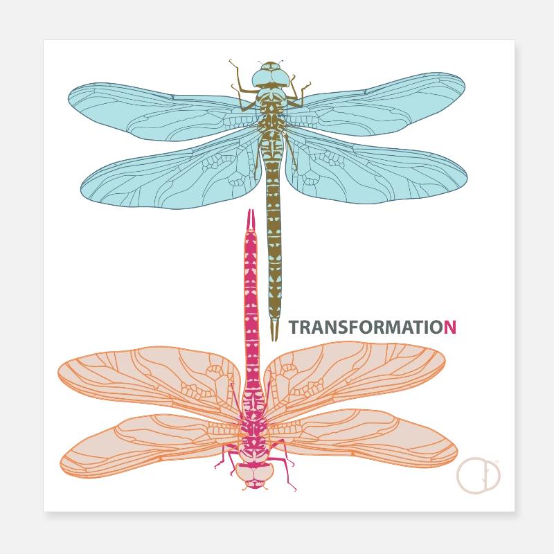 Libellules et transformation par CD Poster 20 x 20 cm