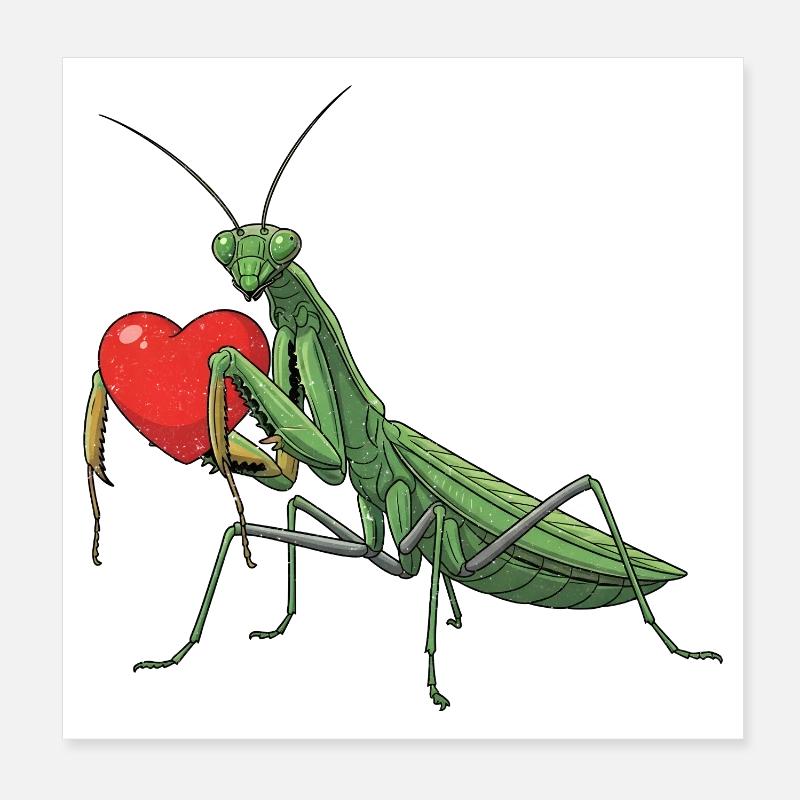 Praying Mantis Poster 8" x 8" (20x20 cm)
