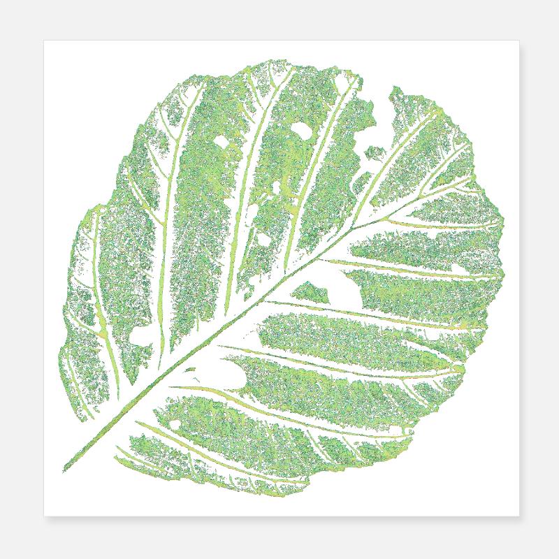 Blatt / Erle Poster 20x20 cm