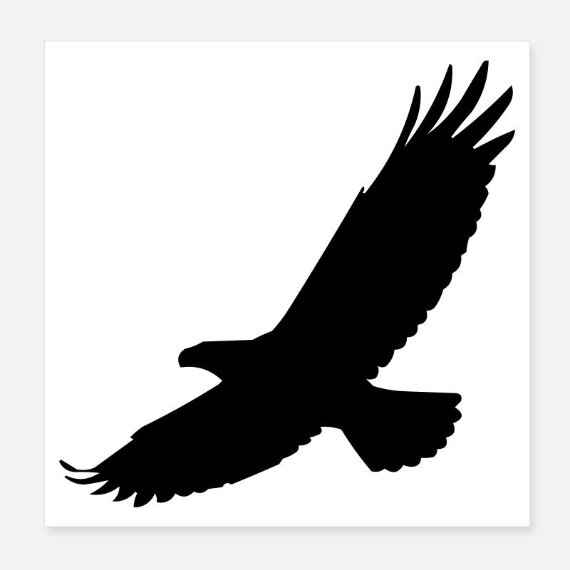 Falke im Flug Poster 20x20 cm