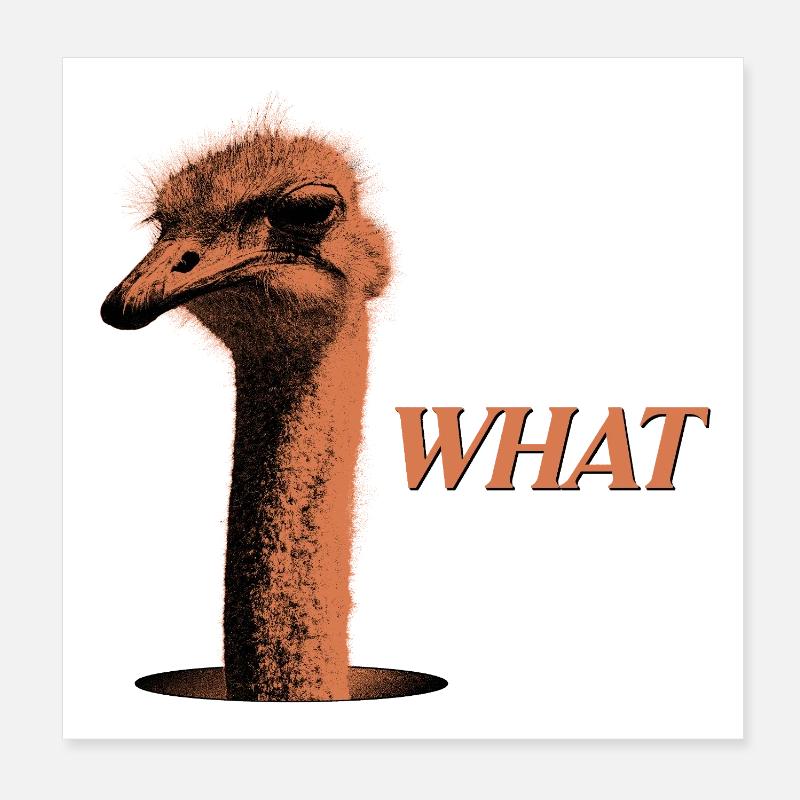 What?! – Grumbling Bouquet Poster 8" x 8" (20x20 cm)
