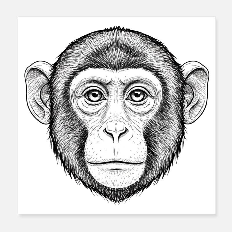 Expressive monkey portrait Poster 8" x 8" (20x20 cm)