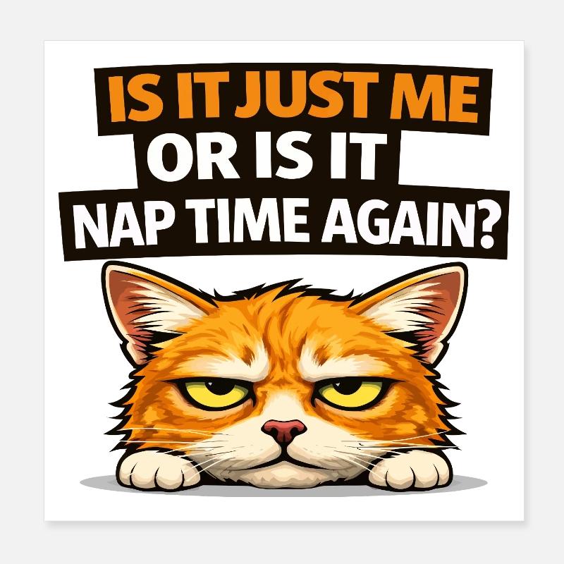 Mittagsschlaf-Katzen-Meme Poster 20x20 cm