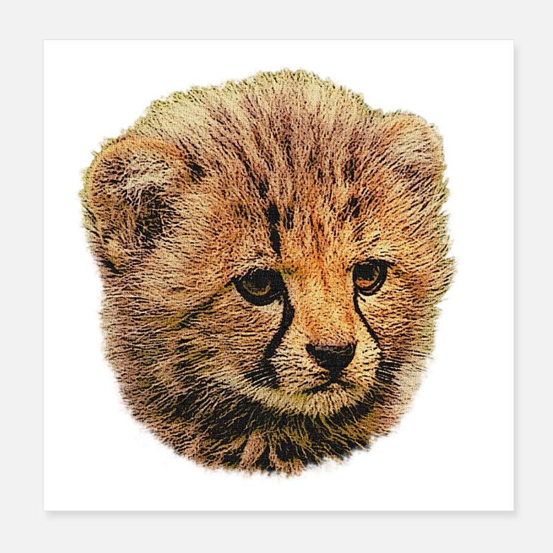 Bébé guépard, bébé animal - Poster 20 x 20 cm - blanc