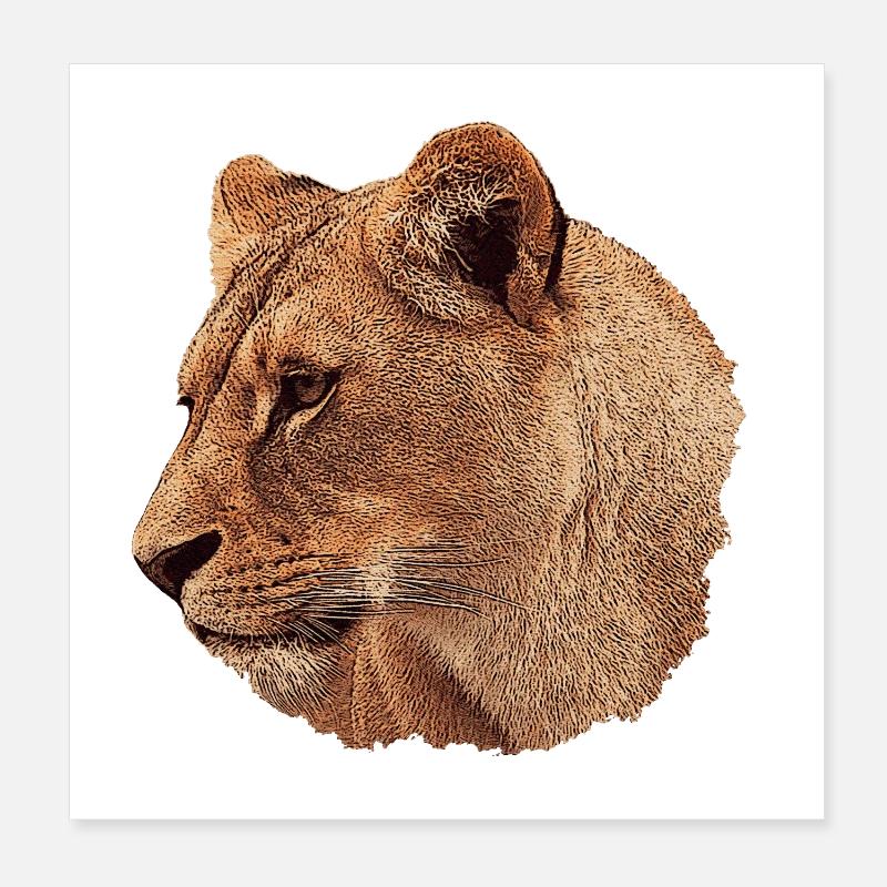 weihnachtsgeschenke raubkatzen, Löwin, Raubkatze Poster 20x20 cm