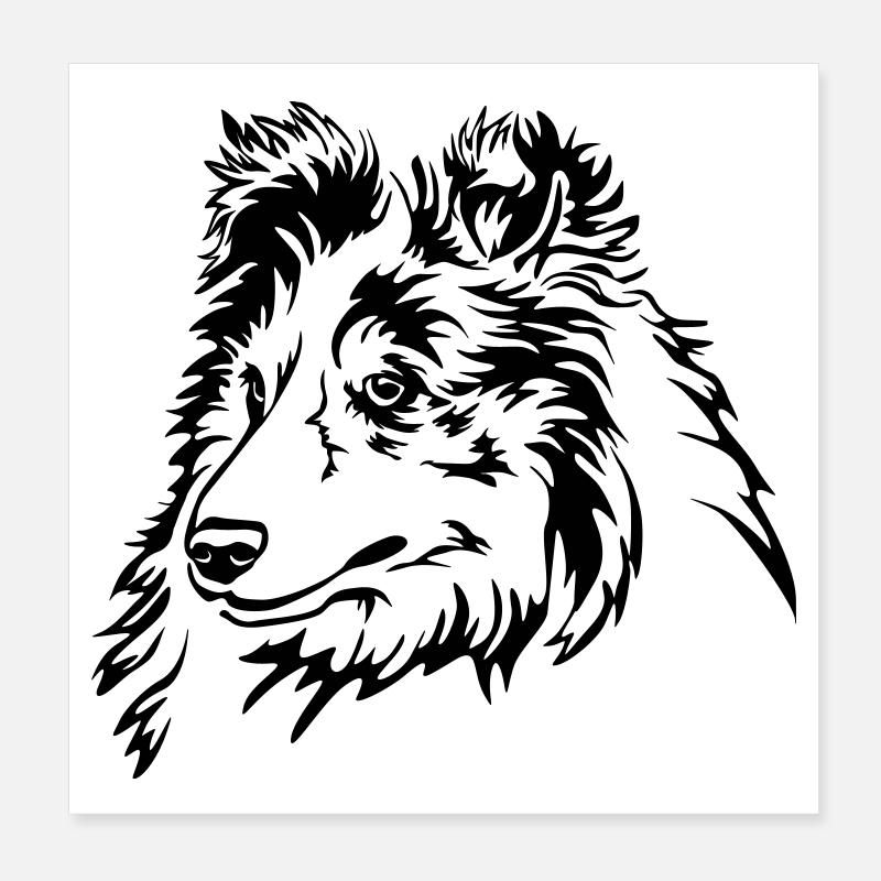 Sheltie Kopf Poster 20x20 cm