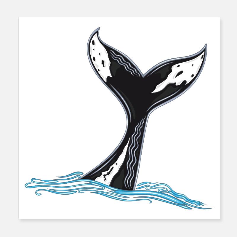 Whale Fin Whale Fin Poster 8" x 8" (20x20 cm)