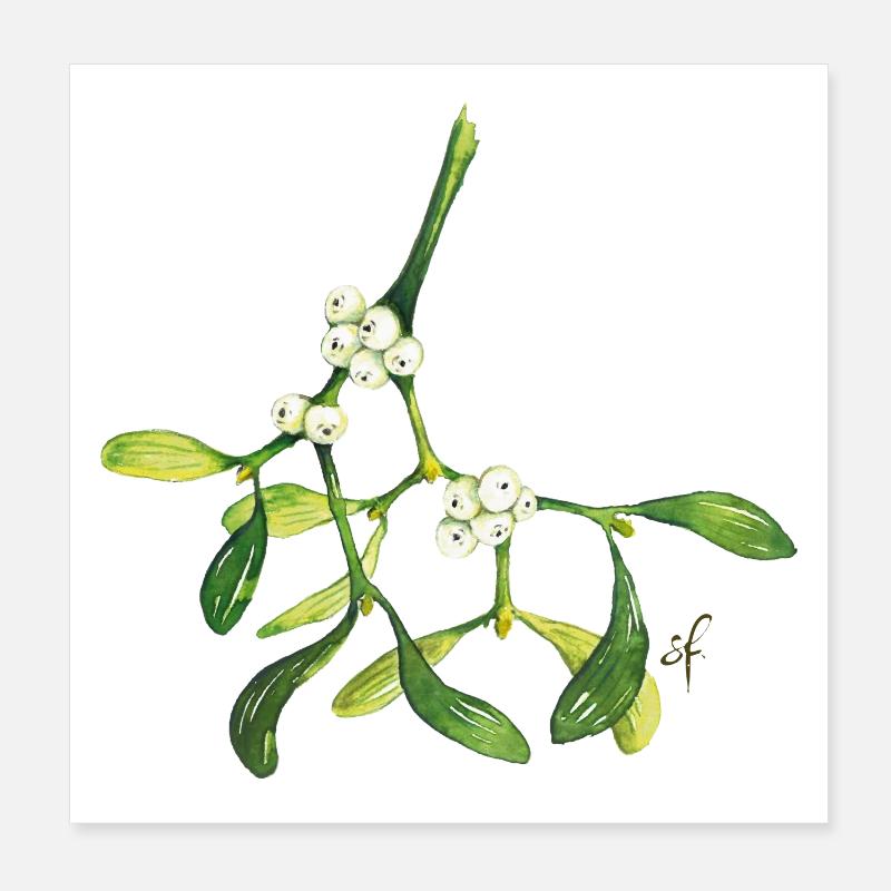 Mistletoe Poster 8" x 8" (20x20 cm)