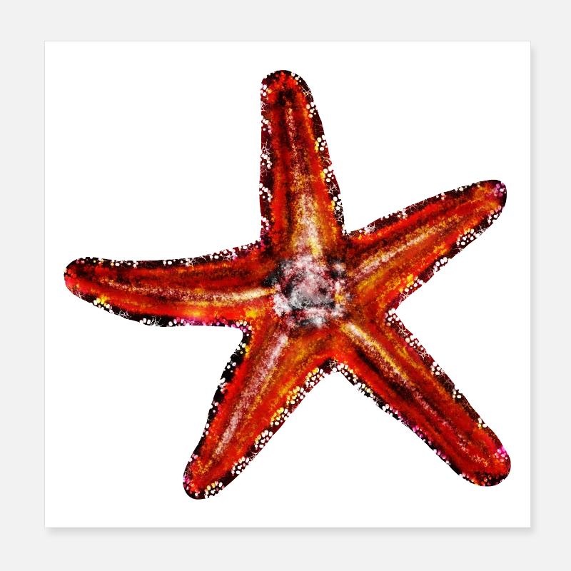 Roter Seestern Poster 20x20 cm