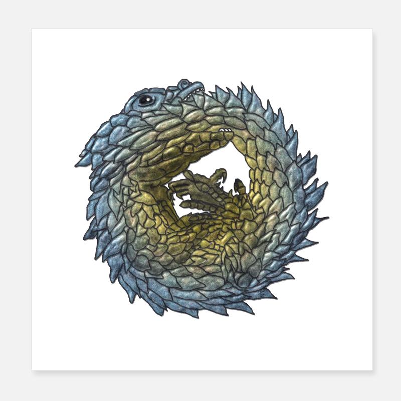 Armadillo Lizzard Poster 20x20 cm