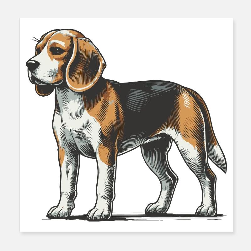Beagle Poster 20 x 20 cm