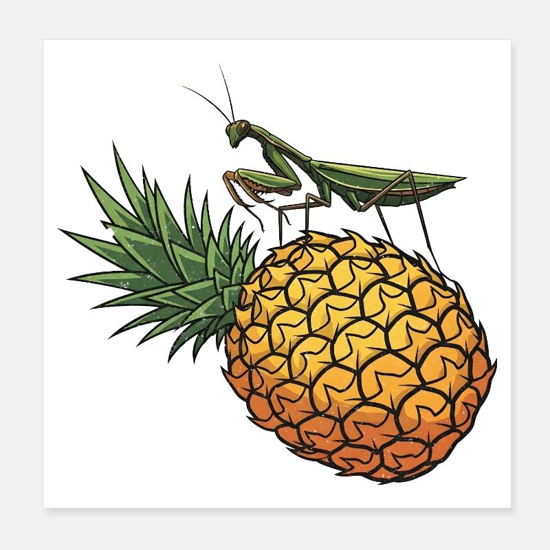 Pineapple with grasshopper illustration Poster 8" x 8" (20x20 cm)