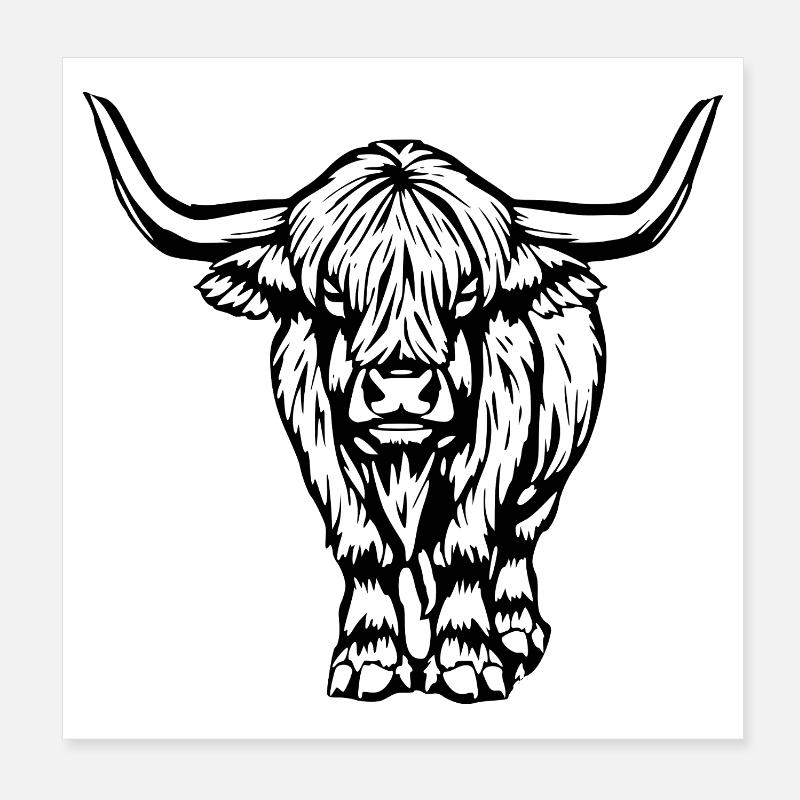 Scottish Highland cattle Poster 8" x 8" (20x20 cm)
