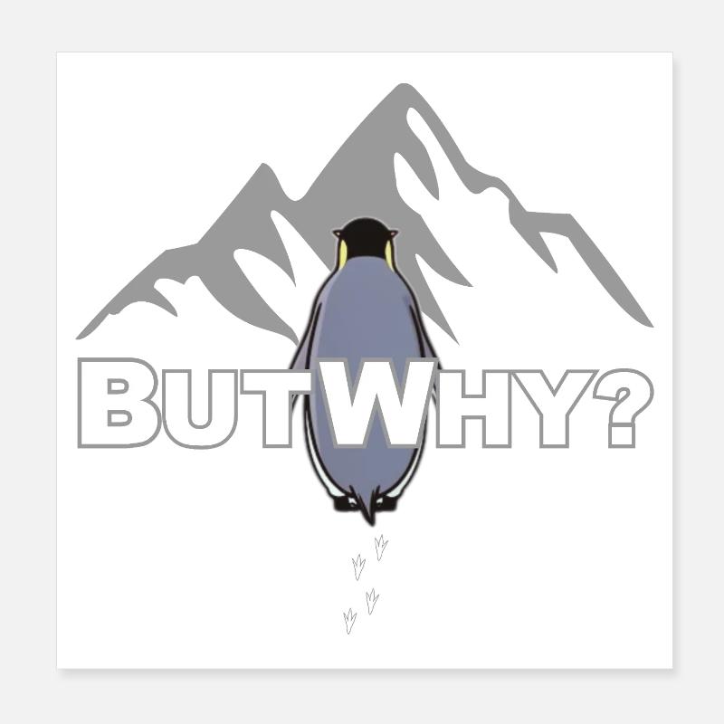 But Why? Pinguin Meme Motivation Poster 20x20 cm