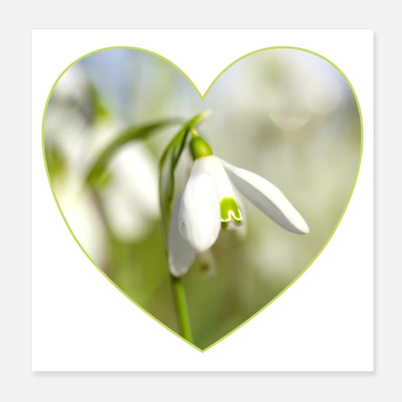 Schneeglöckchen Herzdesign Poster 20x20 cm