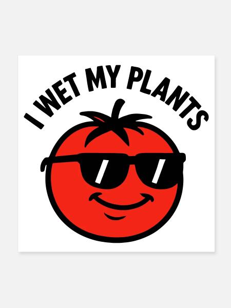 I wet my plants tomato gardening - Poster 8" x 8" (20x20 cm) - white - Front