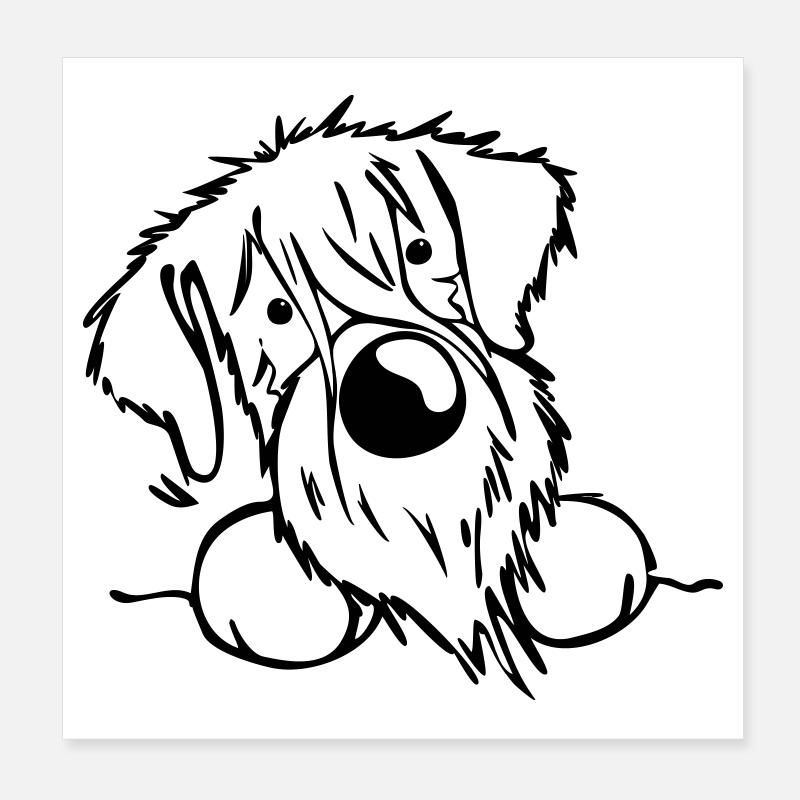 Neugieriger Schnauzer Poster 20x20 cm