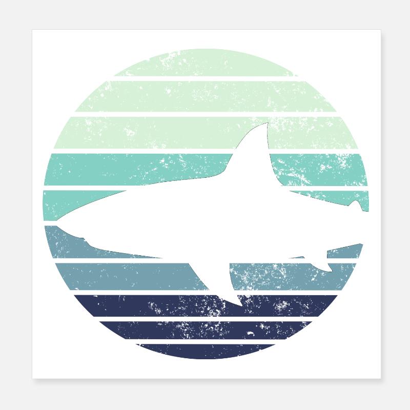 Requins requins - Poster 20 x 20 cm - blanc