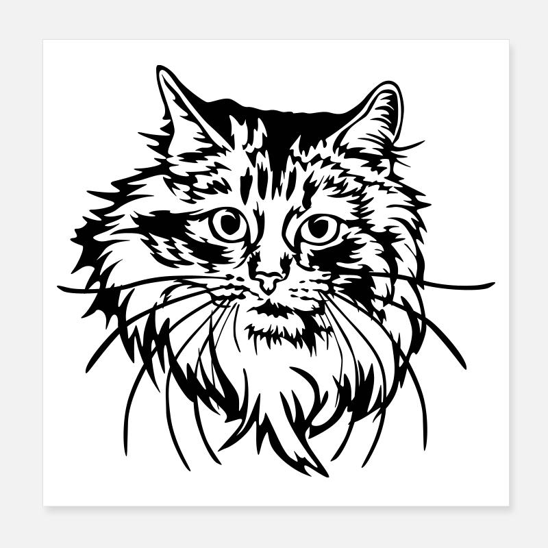 Chat des forêts norvégiennes Poster 20 x 20 cm