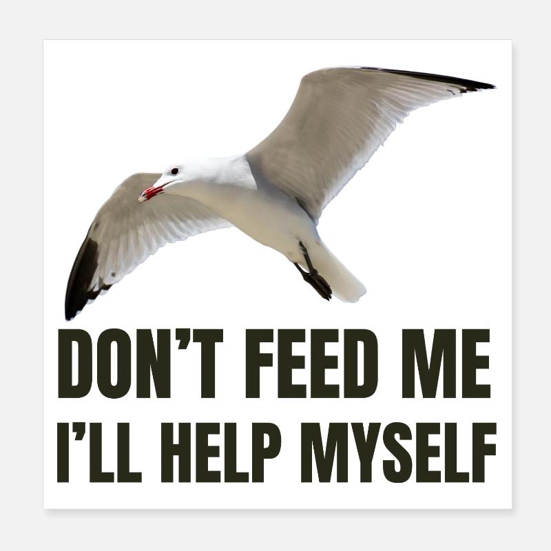 Mouette avec une déclaration audacieuse Poster 20 x 20 cm