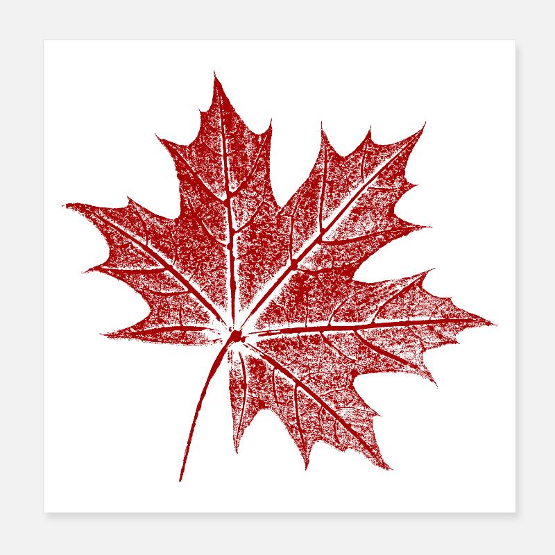 Feuille d’érable Poster 20 x 20 cm