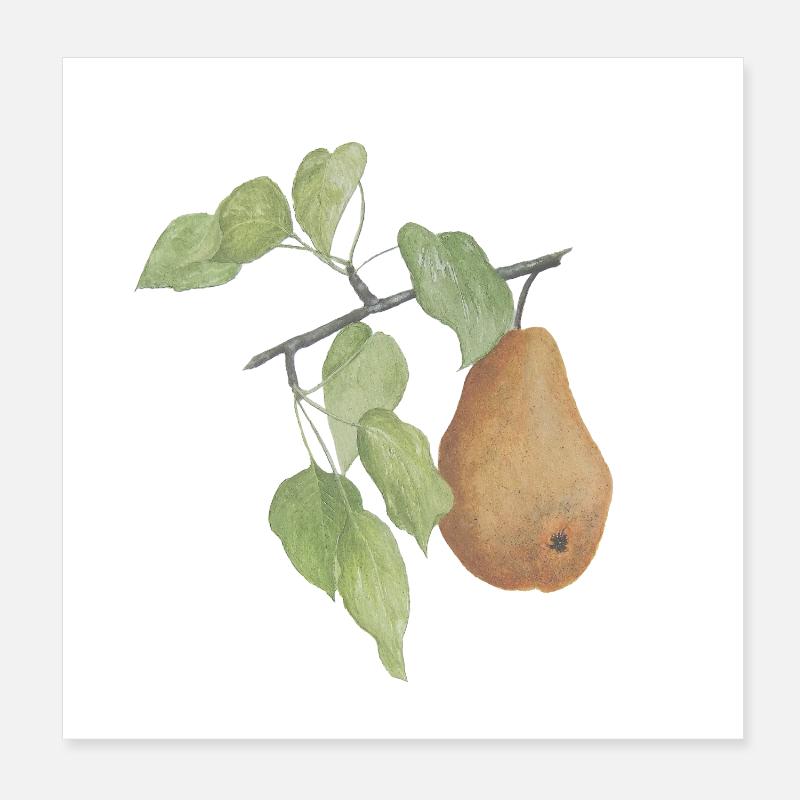Obst Birne Poster 20x20 cm