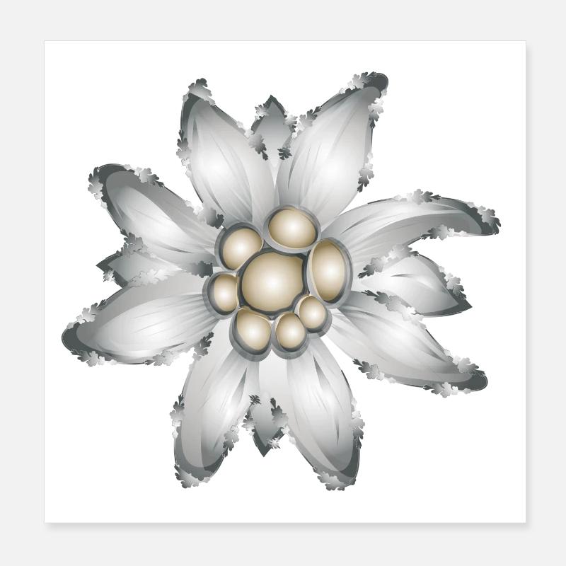 Trachten Stil Antik Silber Alpen-Edelweiß Brosche - Poster 20x20 cm - Weiß