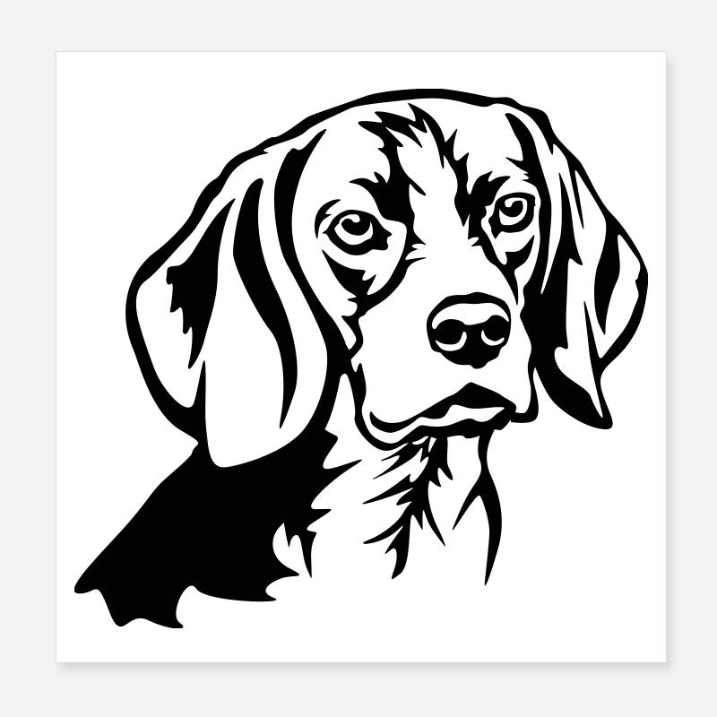 Beagle Kopf Poster 20x20 cm