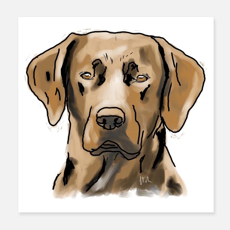 Labrador - Poster 8" x 8" (20x20 cm) - white