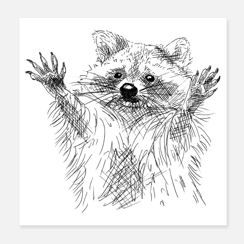 Waschbär Poster 20x20 cm