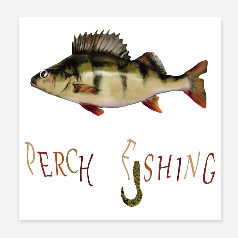 Barsch Angler - Poster 20x20 cm - Weiß