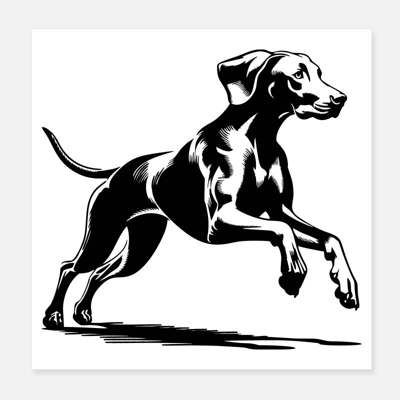 Weimaraner Poster 20x20 cm
