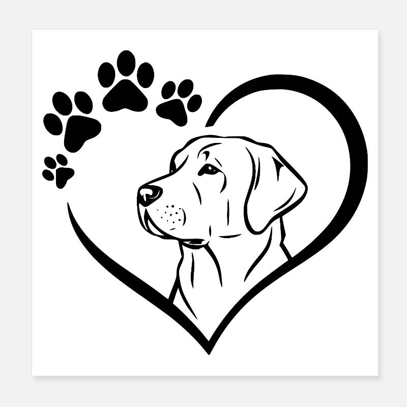 Dessin du Labrador Retriever Poster 20 x 20 cm
