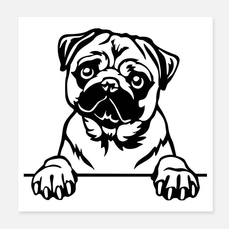Mops Kopf Poster 20x20 cm