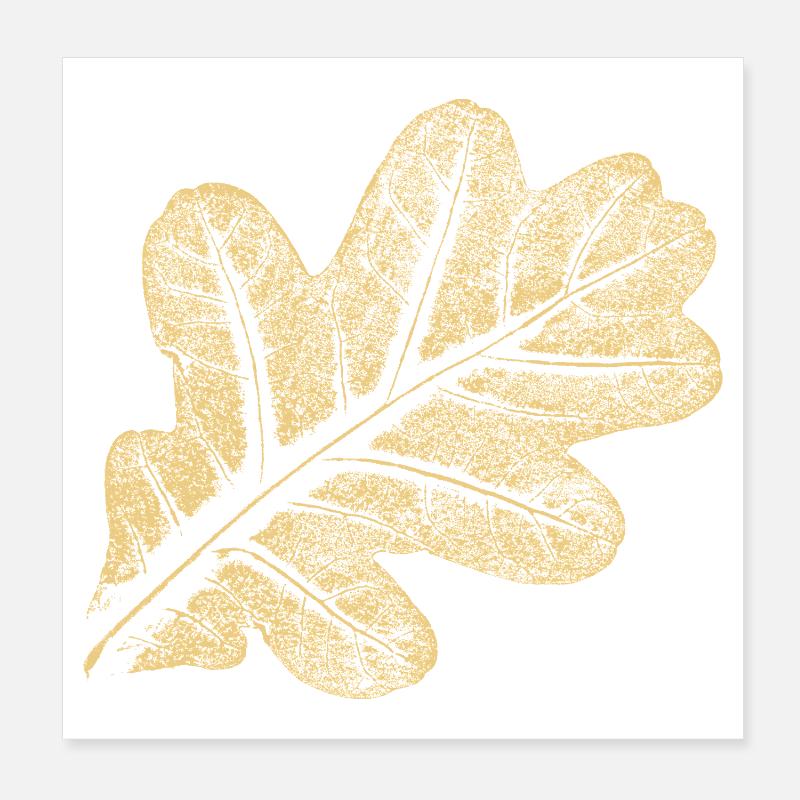 Feuille de chêne / Feuille de chêne - Nature Design Poster 20 x 20 cm