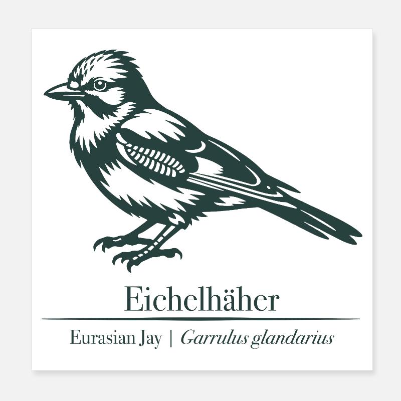 Jay Silhouette | Ornithology | Drawing Poster 8" x 8" (20x20 cm)