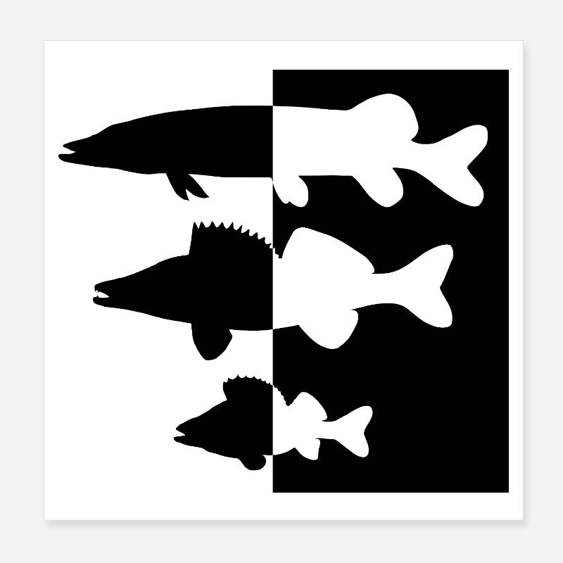 Pike and zander perch Poster 8" x 8" (20x20 cm)
