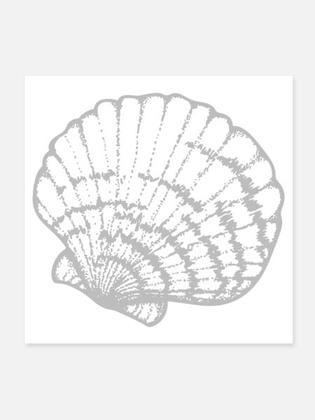 Étude de la lignée de coquilles de moules - Poster 20 x 20 cm - blanc - Devant