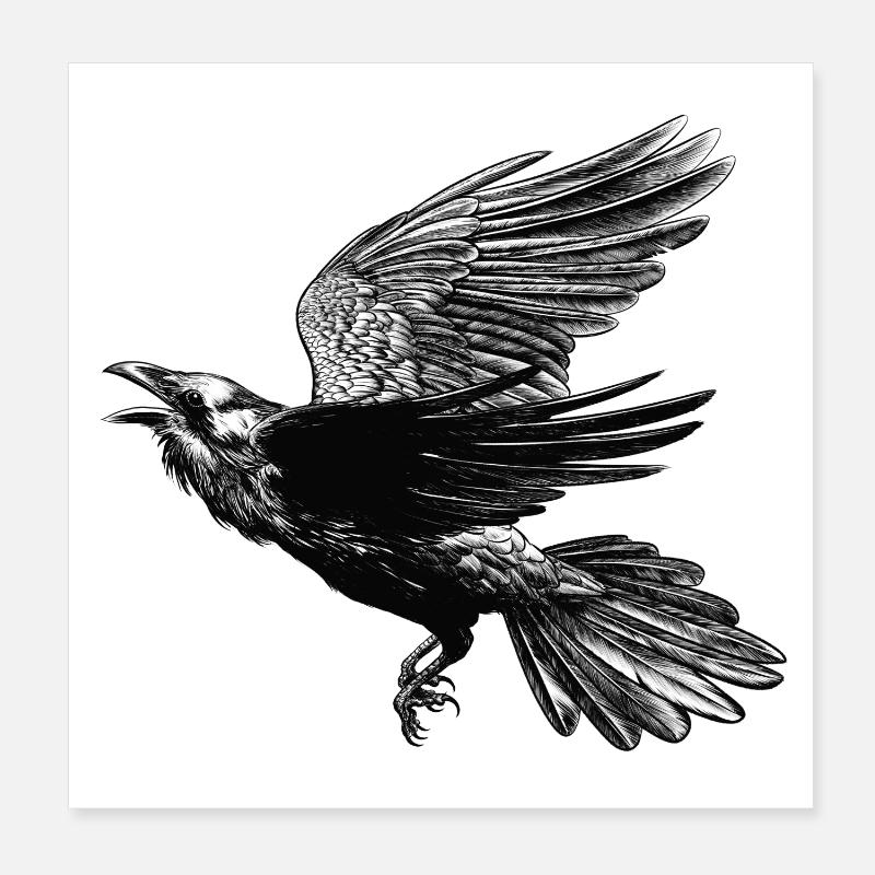 Rabe im Flug Poster 20x20 cm
