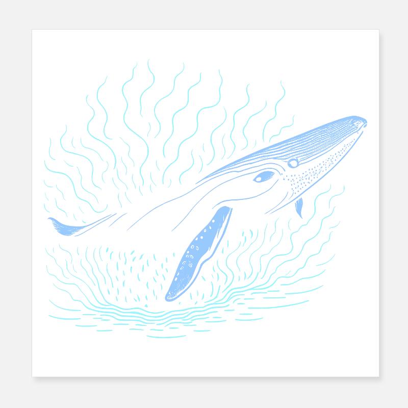 Großer Wal Poster 20x20 cm
