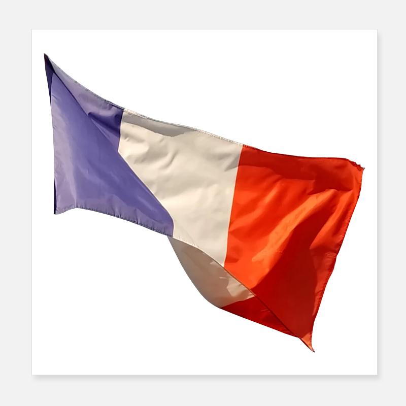 Blue White Red Flag Look Poster 8" x 8" (20x20 cm)
