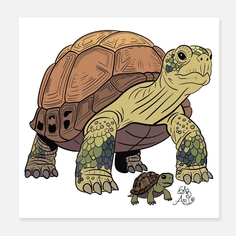 Detailed turtle with cub Poster 8" x 8" (20x20 cm)