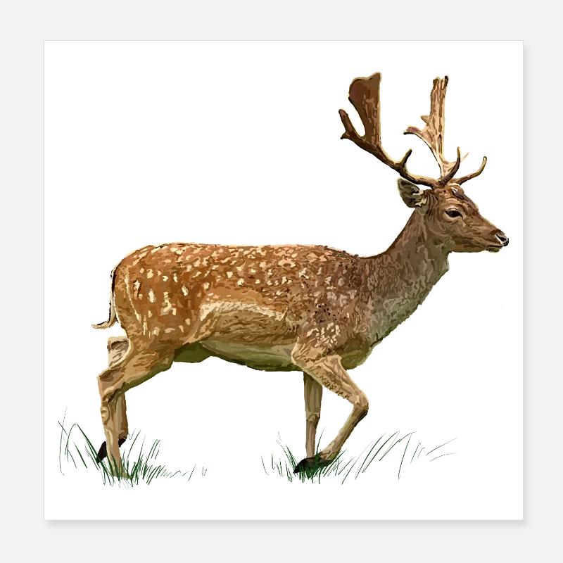 Deer in the grass forest Poster 8" x 8" (20x20 cm)