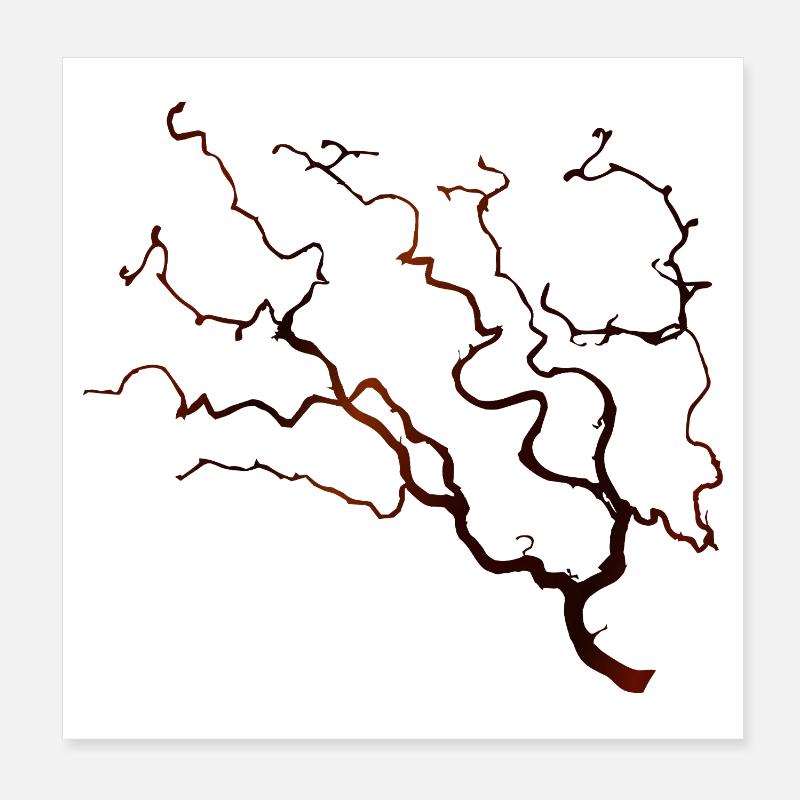 Branche noisetière en tire-bouchon dans une teinte brune chaleureuse Poster 20 x 20 cm
