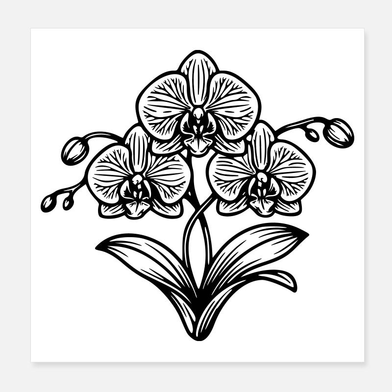 Orchidee Poster 20x20 cm