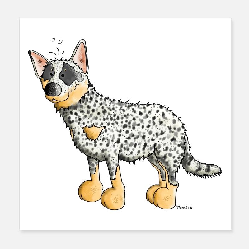 Drôle Bouvier Australien - Australian Cattle Dog Poster 20 x 20 cm