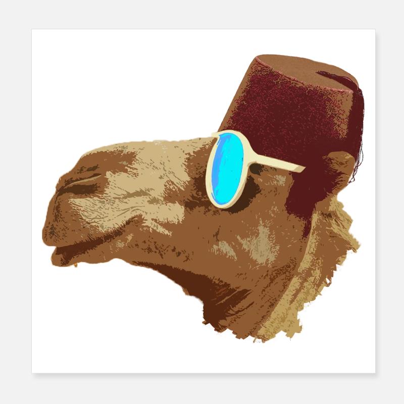 Kamel Cool Poster 20x20 cm