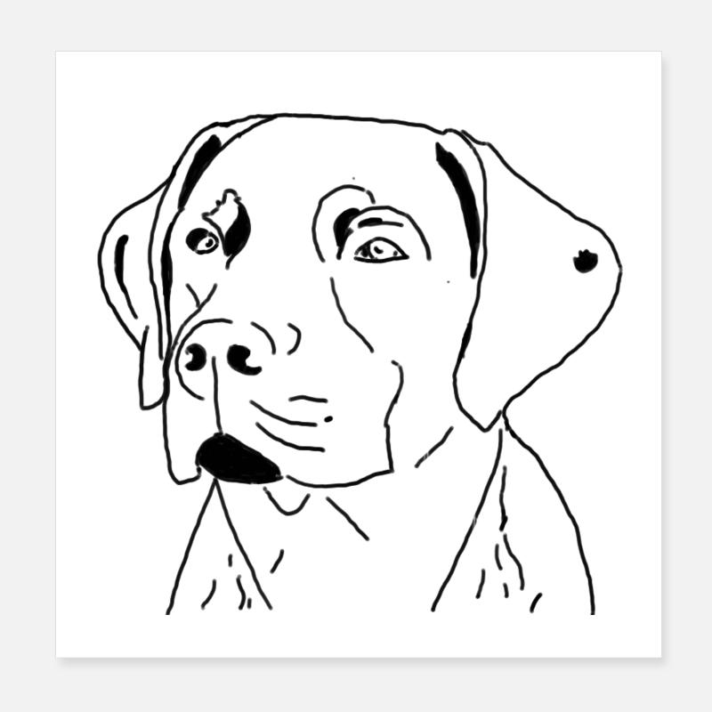 Labrador - Poster 8" x 8" (20x20 cm) - white