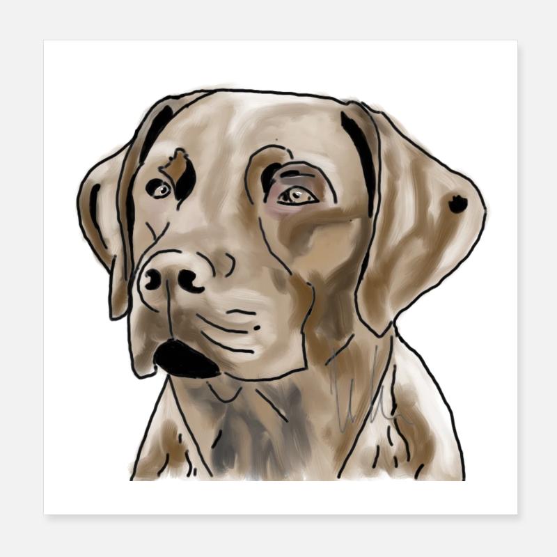 Labrador - Poster 8" x 8" (20x20 cm) - white